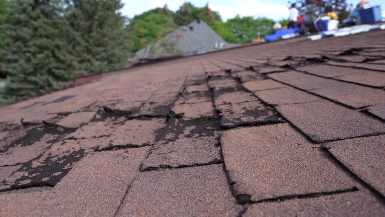 Trusted Evadale, TX Roofing Service Experts