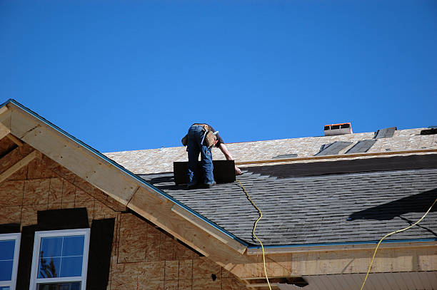 Best Sheet Metal Roofing  in Evadale, TX
